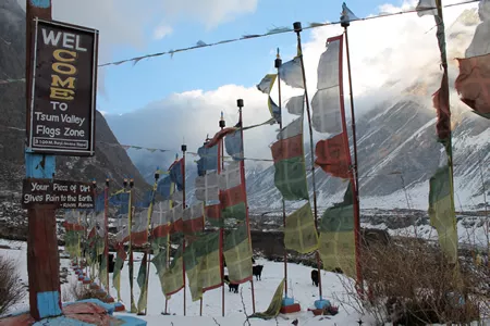 researcher in Nepal