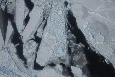 This photograph from a March 27, 2015 NASA IceBridge flight shows a mixture of deformed, snow-covered, first-year sea ice floes, interspersed by open-water leads, brash ice and thin, snow-free nilas and young sea ice over the East Beaufort Sea. Nilas are thin sheets of smooth, level ice less than 10 centimeters (4 inches) thick and appear darkest when thin. Credit: NASA/Operation Ice Bridge. High-resolution image