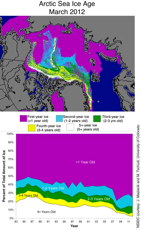 Ice age data show that first-year ice made up 75% of the Arctic sea ice cover this March.