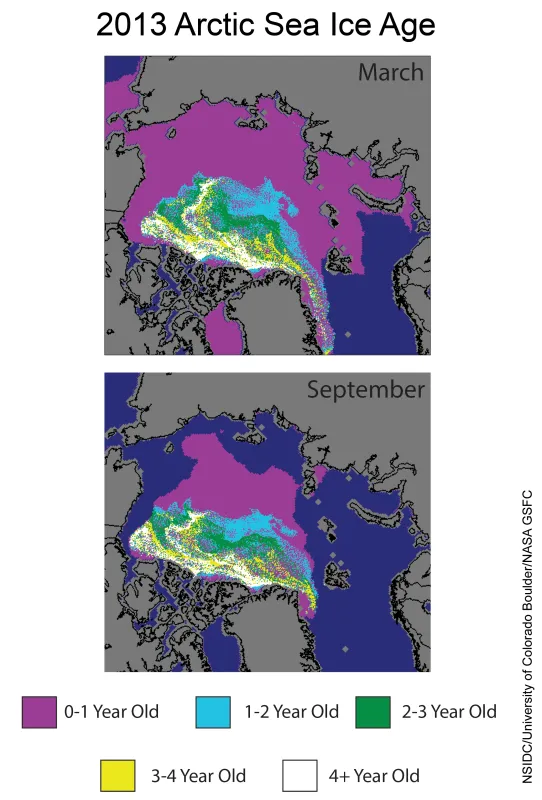 These images from March 2013 (top) and September 2013 (bottom) show the changes in multiyear ice between this year’s sea ice maximum and minimum extents.