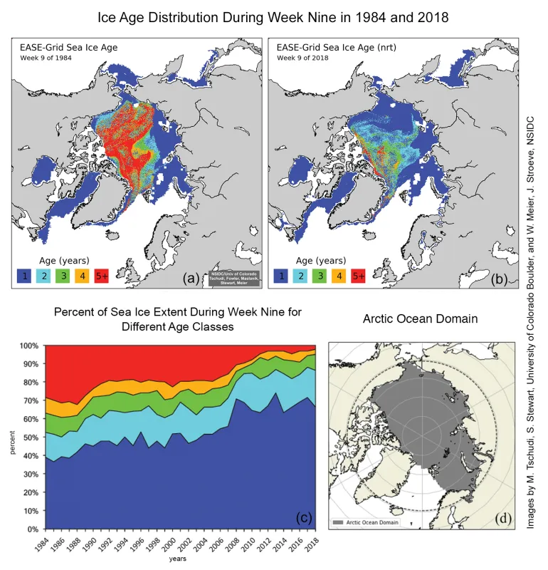 Maps show the ice age distribution during week nine in 1984 (a) and 2018 (b). The time-series (c) shows total sea ice extent for different age classes as is outlined in the Arctic Ocean Domain (d).