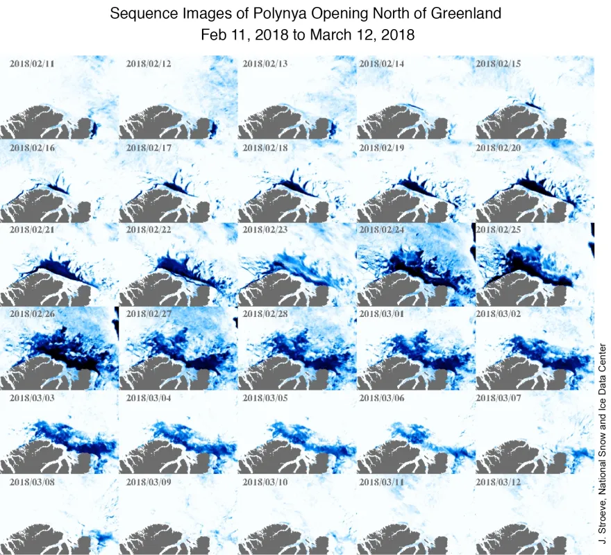 Sequence of high-resolution images from the NASA Advanced Microwave Scanning Radiometer 2 (AMSR2) show the formation of a large polynya north of Greenland.