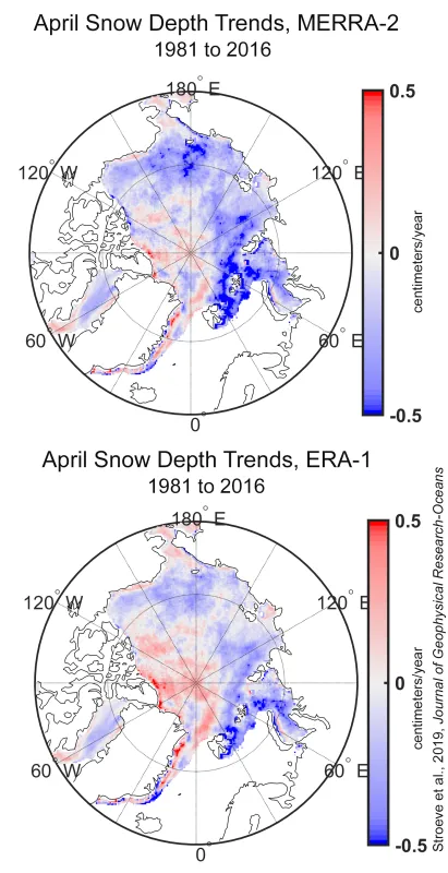  top map of the Arctic shows April trends in snow depth (in centimeters/year) from 1981 to 2016 based on NASA Modern-Era Retrospective analysis for Research and Applications-2 (MERRA-2). The bottom map of the Arctic shows April trends in snow depth (in centimeters/year) from 1981 to 2016 based on the European Centre for Medium-Range Weather Forecasts.