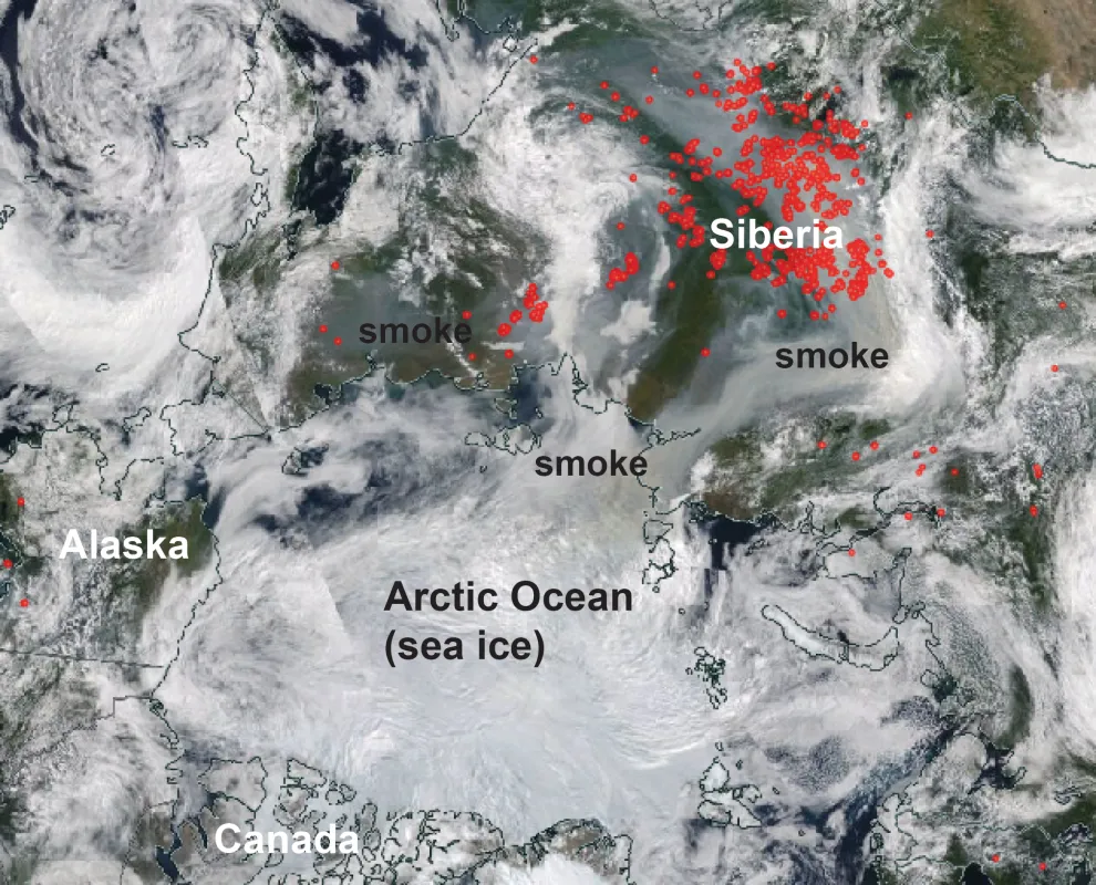 NASA Worldview image from August 10, 2019, shows the locations of wildfires in the Arctic as detected by thermal images (not shown).