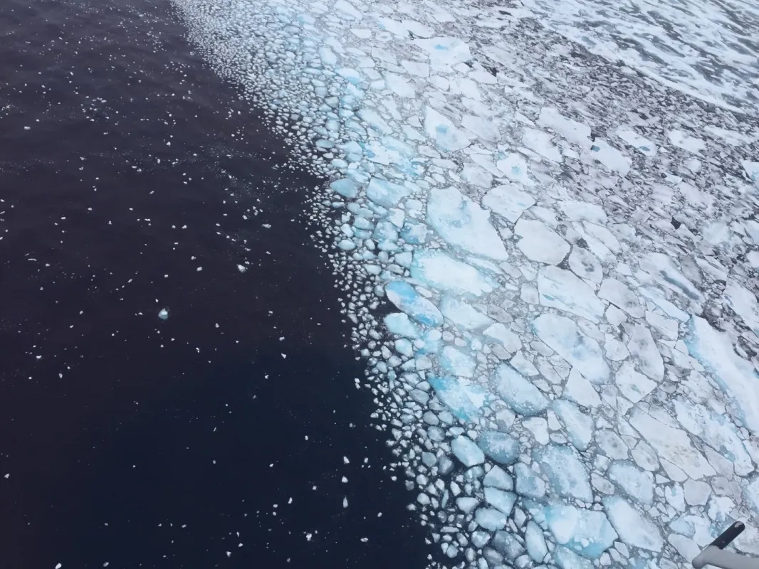 Photo taken during a NOAA flight north of Utqiagvik, Alaska, sea ice appears to be highly decayed with deep melt ponds.