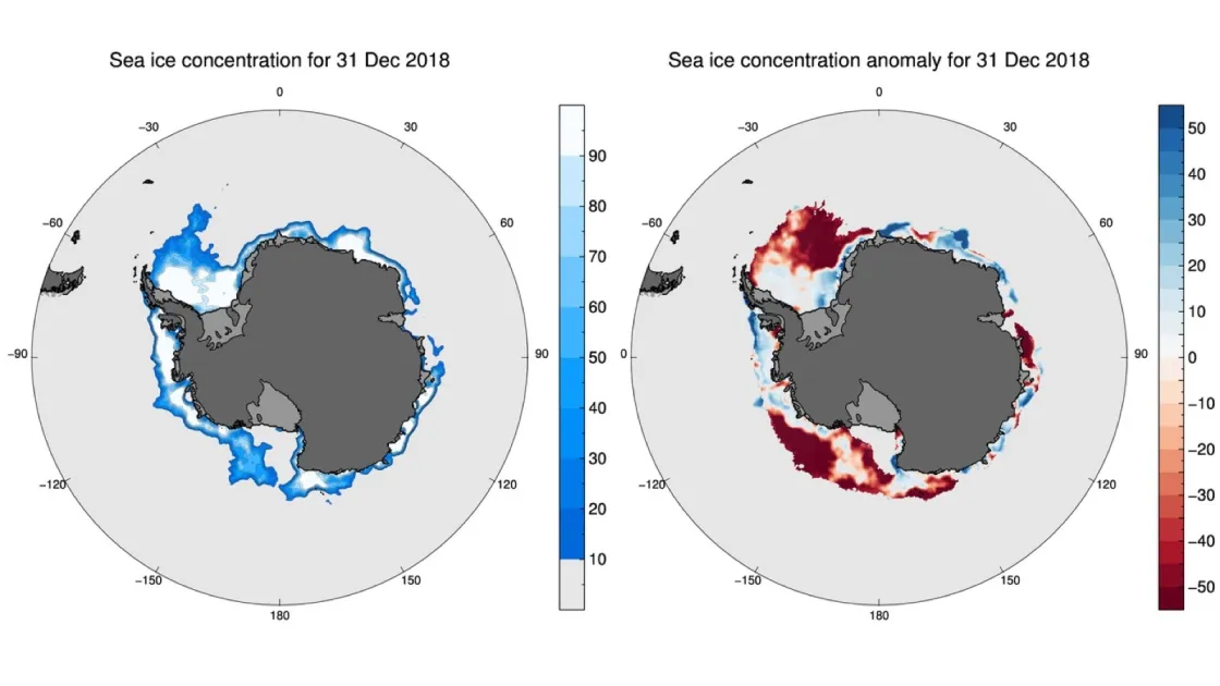 Maps show sea ice concentration (left) and sea ice concentration anomaly, or difference from average (right), for December 31, 2018.