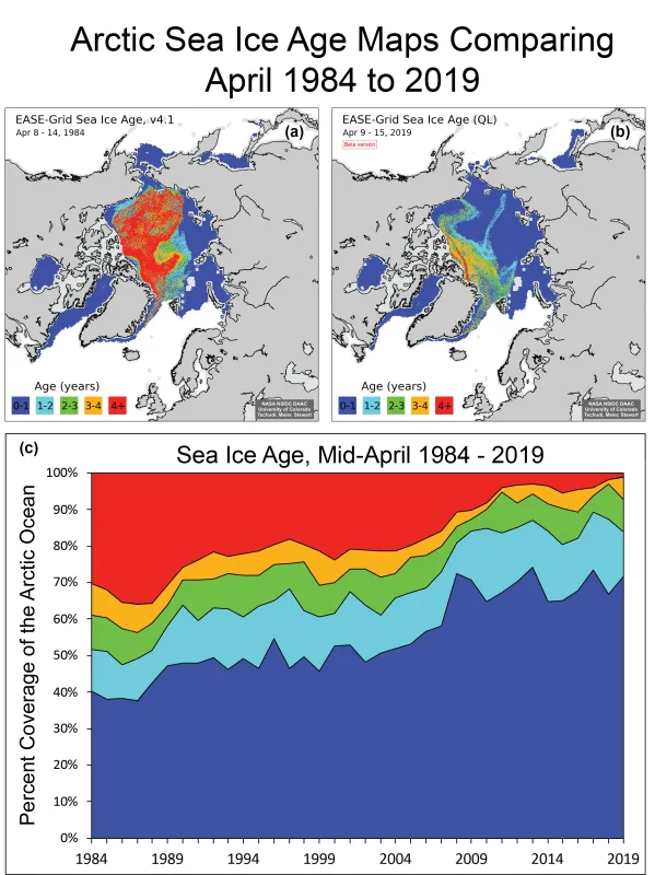 Top maps compare Arctic sea ice age for (a) April 8 to 14, 1984, and (b) April 9 to 15, 2019. The time series (c) of mid-April sea ice age as a percentage of Arctic Ocean coverage from 1984 to 2019 shows the nearly complete loss of 4+ year old ice.