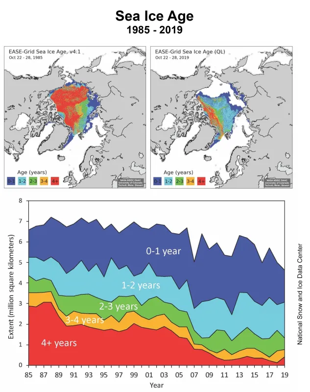 Top left map shows sea ice age for October 22 to 28, 1985 while the right map shows the same week in 2019. The bottom graph shows a time series of ages for that week from 1985 to 2019 from the NSIDC EASE-Grid Sea Ice Age, Version 4.