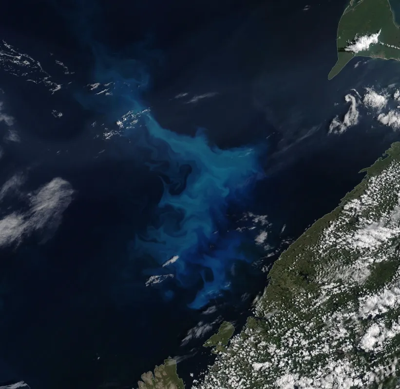 Image shows a phytoplankton bloom in the Barents Sea on July 26, 2020, from a Moderate Resolution Imaging Spectroradiometer (MODIS) True Color composite in NASA Worldview.