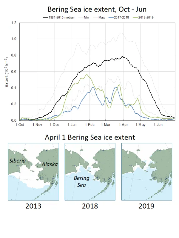 Line graph, based on NSIDC Sea Ice Index Data, shows the daily Bering Sea ice extent for October through June 2017 to 2018 and 2018 to 2019 compared to average.