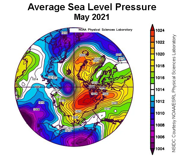 Plot shows average sea level pressure in the Arctic in millibars for May 2021.