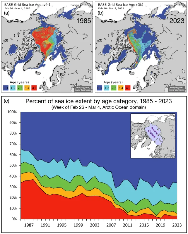 Top maps show sea ice age for the week of February 26 to March 4 for (a) 1985 and (b) 2023. The bottom graph is a timeseries of the percent of the sea ice extent within the Arctic Ocean domain