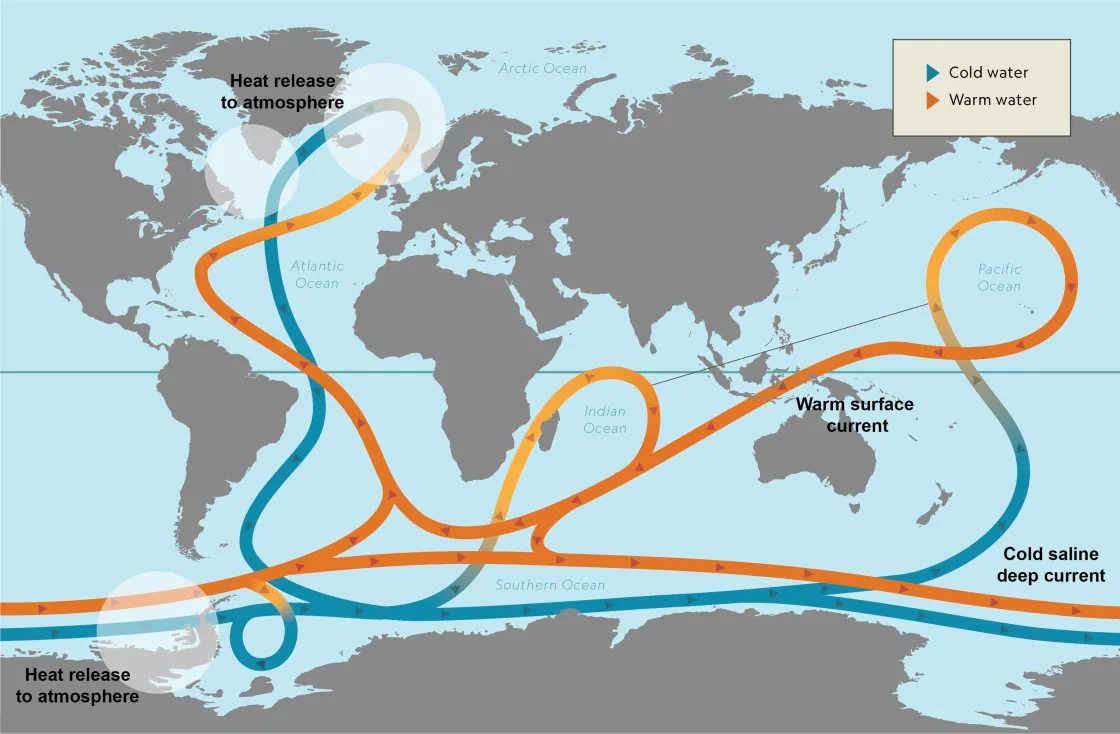 Map shows global ocean circulation, including the major areas of ocean water sinking and upwelling.