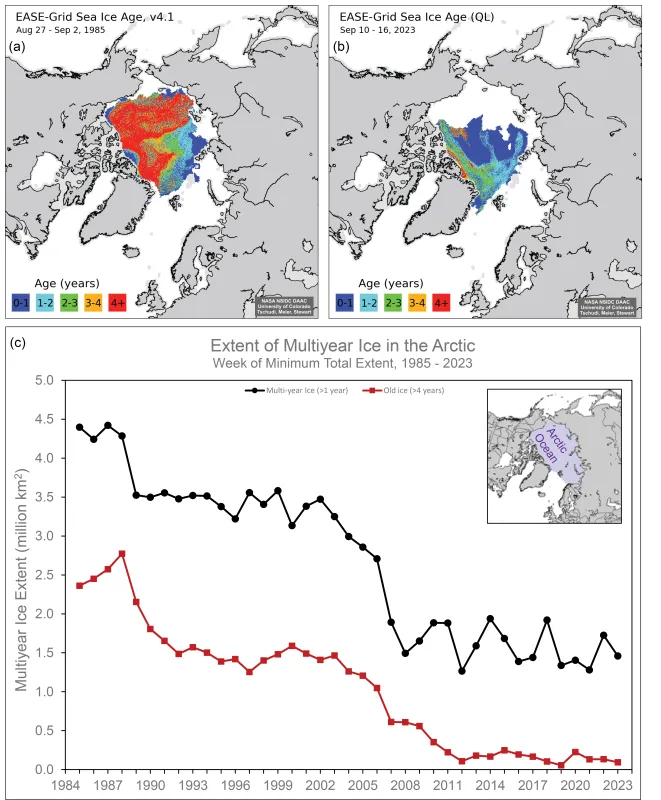 The top maps show Arctic sea ice age at the end of summer, a week before the seasonal minimum, for 1985 on the left and 2023 on the right.