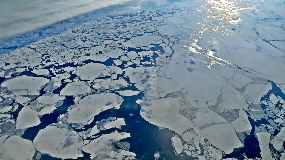 Arctic sea ice