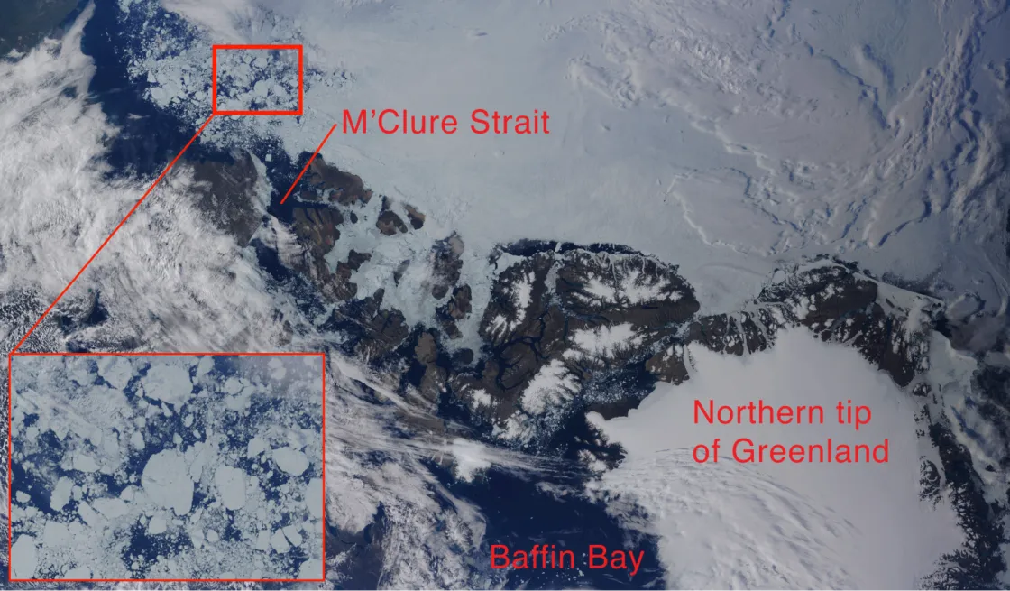 Arctic sea ice image from August 11, 2007. Image derived from MODIS satellite data.