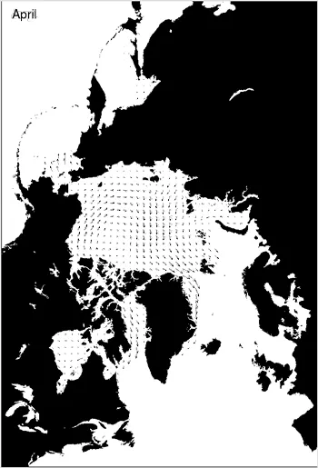 April to August 2007 monthly average sea ice drift derived from AMSR data