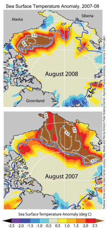 Sea surface temperature anomalies for August 2008.