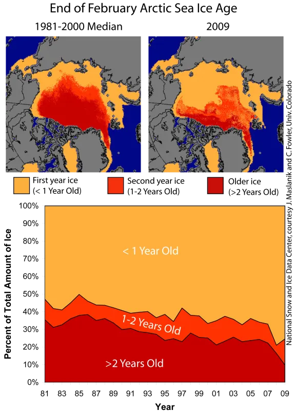  images show declining sea ice age