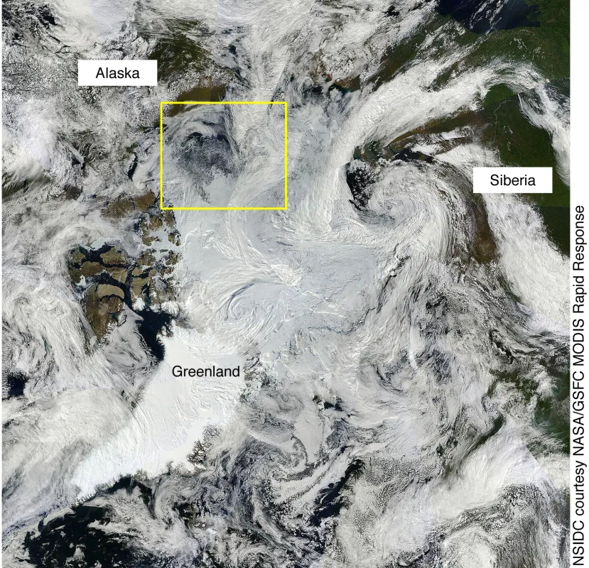 Satellite image of the Arctic.