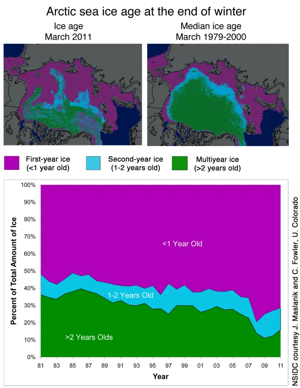 These images show ice age during the third week of March, for 2011 and averaged over the reference period of 1979 to 2000. The bottom figure shows ice age as a percentage of total ice in the Arctic.