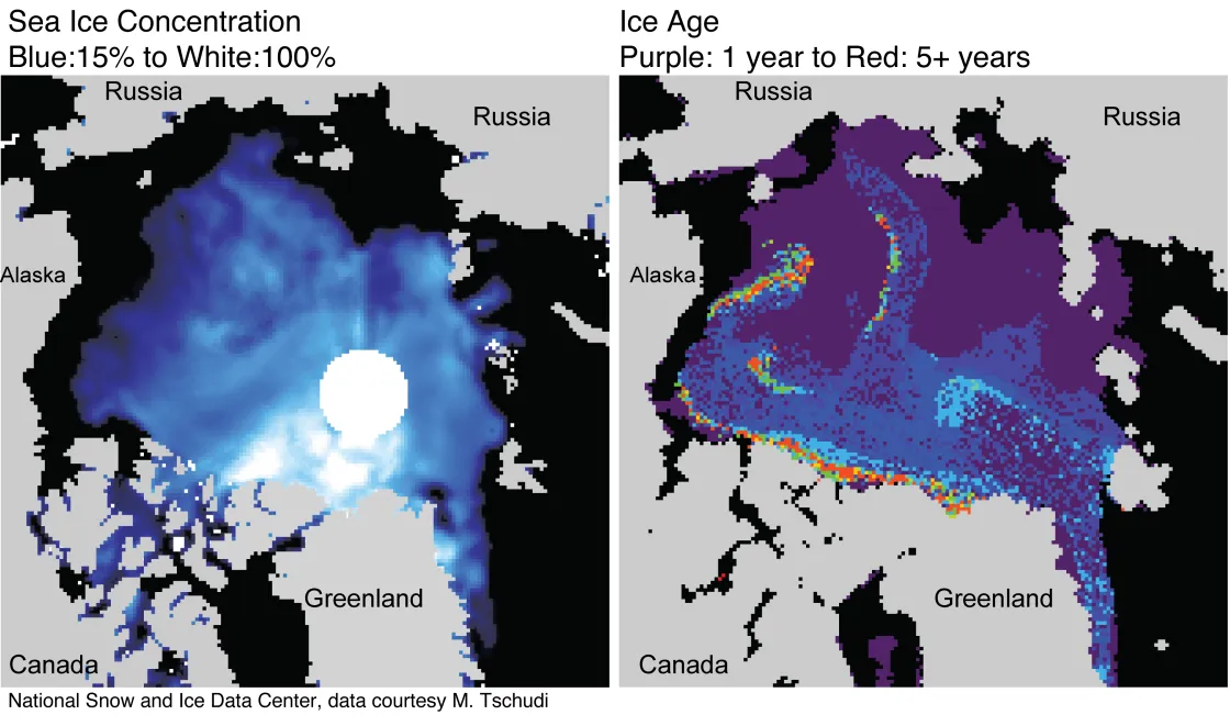 These maps show sea ice concentration (left) and ice age (right) over the Arctic Ocean. In the Beaufort Sea off the coast of Alaska, ice has melted back to the edge of a tongue of older, thicker ice. In the ice age image, red shows ice 5 years old and older, green shows 4-year-old ice, light blue shows 3-year-old ice, dark blue is second-year ice, and purple shows first-year ice.