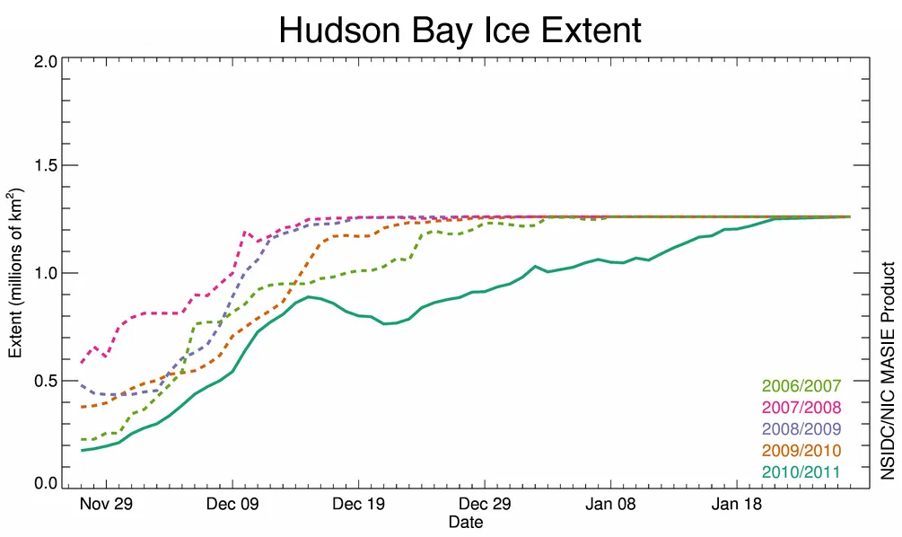 This graph shows the ice extent in Hudson Bay from late November to the end of January, for the last five years. This year, Hudson Bay froze up substantially later than in previous years.