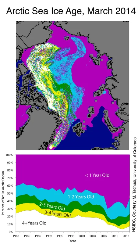 The map at top shows the ages of ice in the Arctic at the beginning of March 2014; the bottom graph shows how the percentage of ice in each age group has changed from 1983 to 2014 .