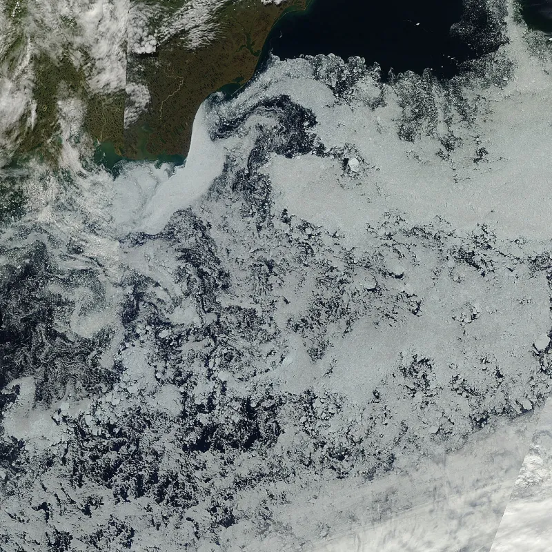 This image from the Moderate Resolution Imaging Spectroradiometer (MODIS), taken in late July, shows areas of low concentration sea ice in the Beaufort Sea, north of Alaska. Barrow, Alaska is at the top left. The resolution is 500 meters. 