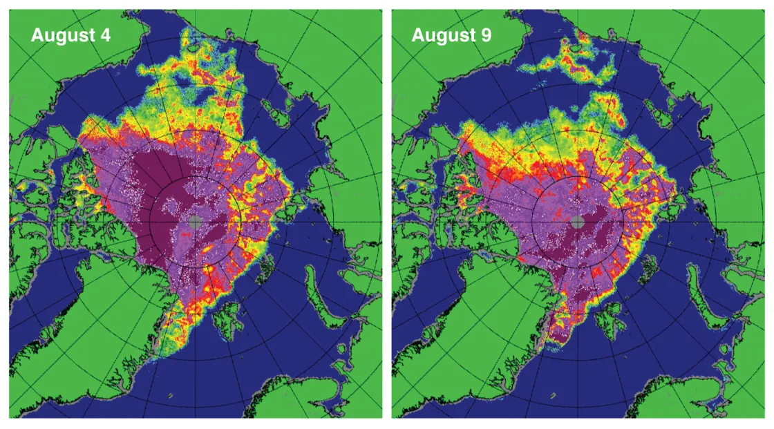 These maps of sea ice concentration from the Special Sensor Microwave Imager/Sounder (SSMIS) passive microwave sensor highlight the very rapid loss of ice in the western Arctic (northwest of Alaska) during the strong Arctic storm. 