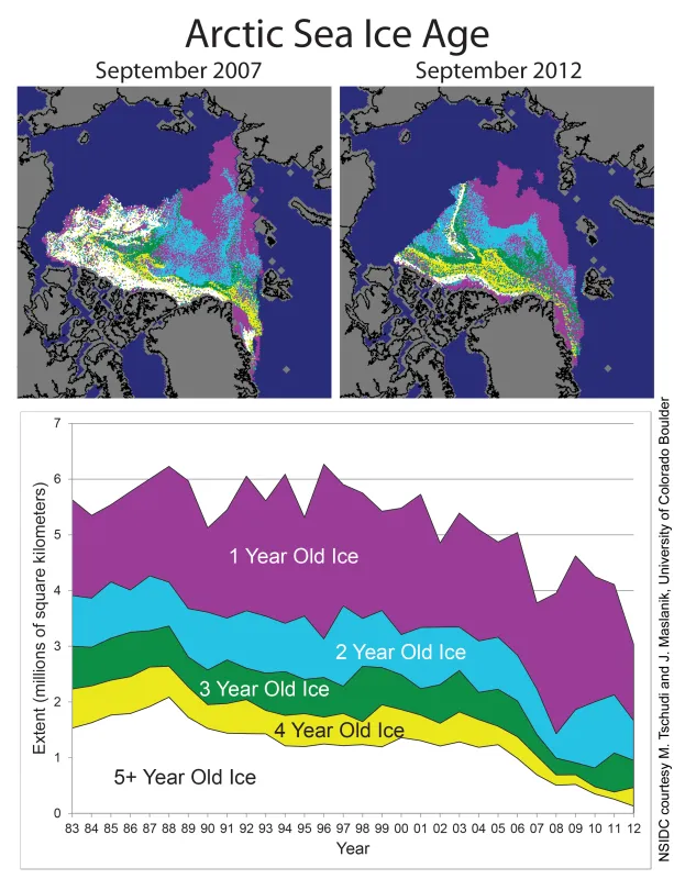 These images from September 2007 (top, left) and September 2012 (top, right) show the decline of multiyear ice since the previous record minimum extent was set in 2007. The chart at bottom shows the changes in multiyear ice from 1983 to 2012. Ice of all ages has declined; 5+ year old ice has declined quite sharply. Much of the Arctic ice cover now consists of first-year ice (shown in purple), which tends to melt rapidly in summer’s warmth.