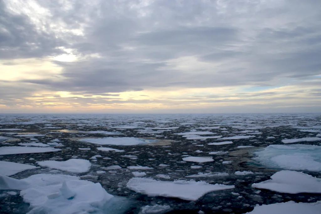 photo shows shows denser ice cover, around 90% concentration, with a mixture of small floes and brash ice (i.e., slushy ice remnants of melt)