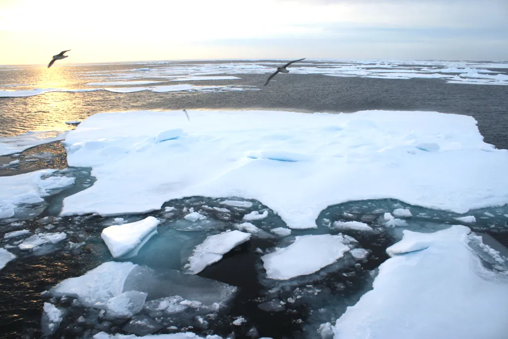 photo shows lower concentrations of small ice floes with considerable open water.