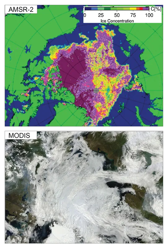 Images showing Arctic sea ice composition.