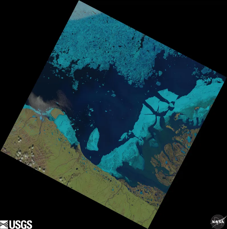 This Landsat 8 image of the Beaufort Sea and MacKenzie River Delta was acquired on June 16 , 2014. The approximately true-color image shows abundant surface melt and melt ponds, fast ice break up, and coastal features of the springtime Arctic. The image is 185 kilometers (115 miles) on each side.