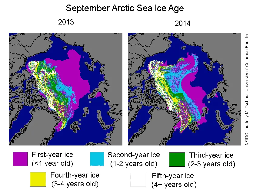 These images show the ages of ice in the Arctic at the end of September 2013 and 2014.