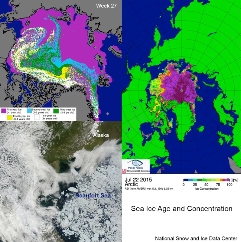 The map at top, left shows ice age, in years, for the beginning of July 2015 (Week 27, June 29 to July 5). The MODIS satellite image (bottom, left) of the Beaufort Sea area, from July 22, 2015, shows a mélange of very large and smaller multiyear ice floes surrounded by open water. The AMSR-2 satellite image from July 22 (top, right) shows ice percent concentration. Ice age data are from C. Fowler and J. Maslanik, University of Colorado Boulder. 