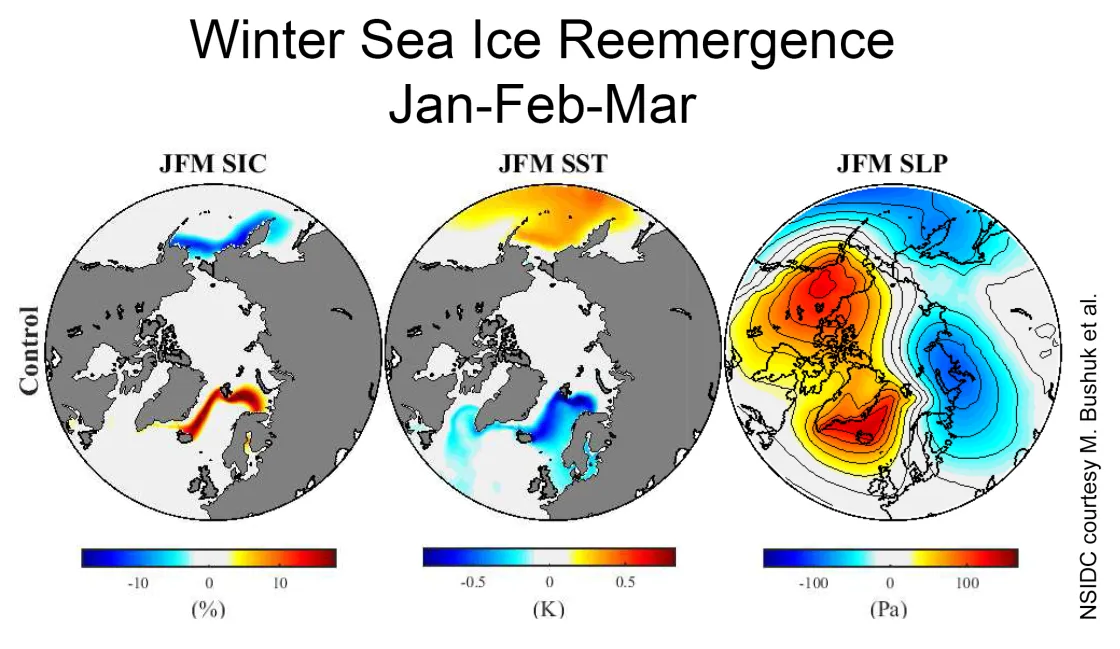 The images above compare patterns of winter (January-February-March) sea ice concentration anomalies (SIC, in percent concentration) with sea surface temperature anomalies (SST, in Kelvin) and sea level air pressures (SA, in pressure altitude), for a pre-industrial control model simulation.