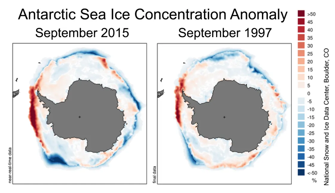 The images compare Antarctic sea ice concentration for Septembers during two strong El Niño events (2015, left; 1997, right) to 1981 to 2010 averages. 