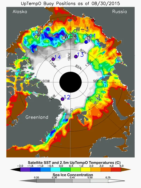 The map shows average ocean sea surface temperature (SST) and sea ice concentration for August 30, 2015. SST is measured by satellites using thermal emission sensors (a global product, adjusted by comparison with ship and buoy data). Sea ice concentration is derived from NSIDC’s sea ice concentration near-real-time product. 