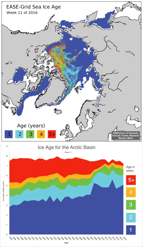  These graphs show Arctic sea ice age from March 4 to 10, 2016. There is only a decline in old sea ice as the years increase