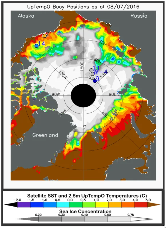  The map shows average ocean sea surface temperature (SST) and sea ice concentration for August 7, 2016. SST is measured by satellites using thermal emission sensors, which produce global data adjusted after comparison with ship and buoy data. 