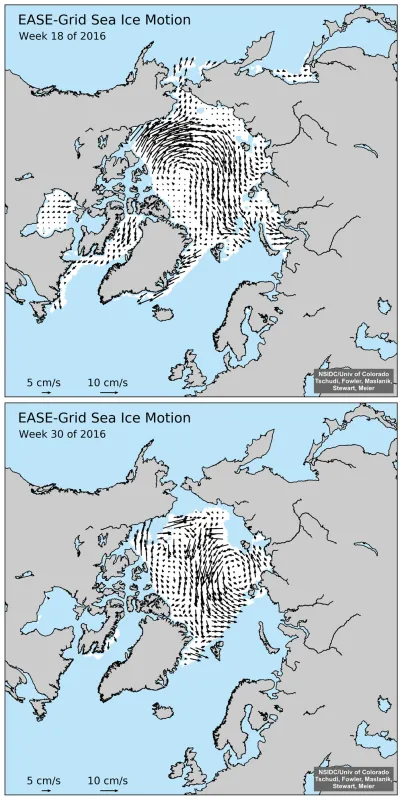 These graphs show Arctic sea ice motion for May 2 to 8, 2016 (top) and July 25 to 31, 2016 (bottom).