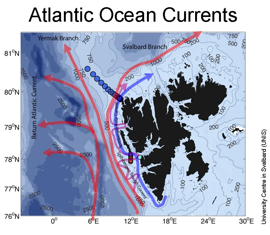 The West Spitsbergen Current consists of three branches (red arrows) that transport warm and salty Atlantic Water northward: the Return Atlantic Current (westernmost branch), the Yermak Branch and the Svalbard Branch. 