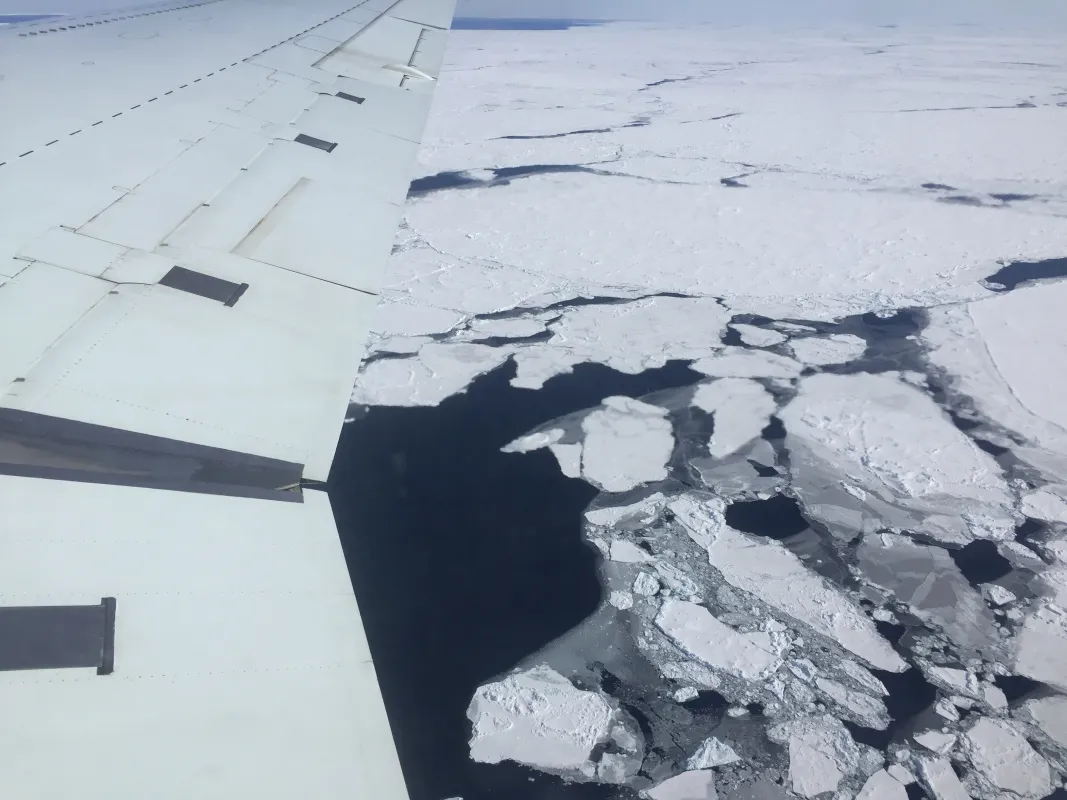 Photograph of floating sea ice taken from a plane