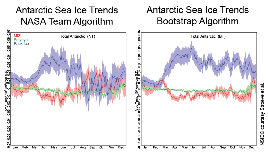 Circumpolar Antarctic trends from 1979 to 2014 shows a decrease in consolidated pack ice and minor increases in the marginal ice zone. The costal polynyas fluctuate 