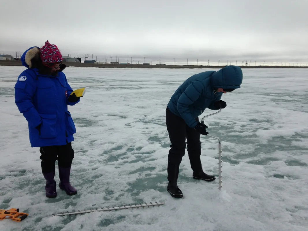 Photo of researchers drilling a hole in the sea ice