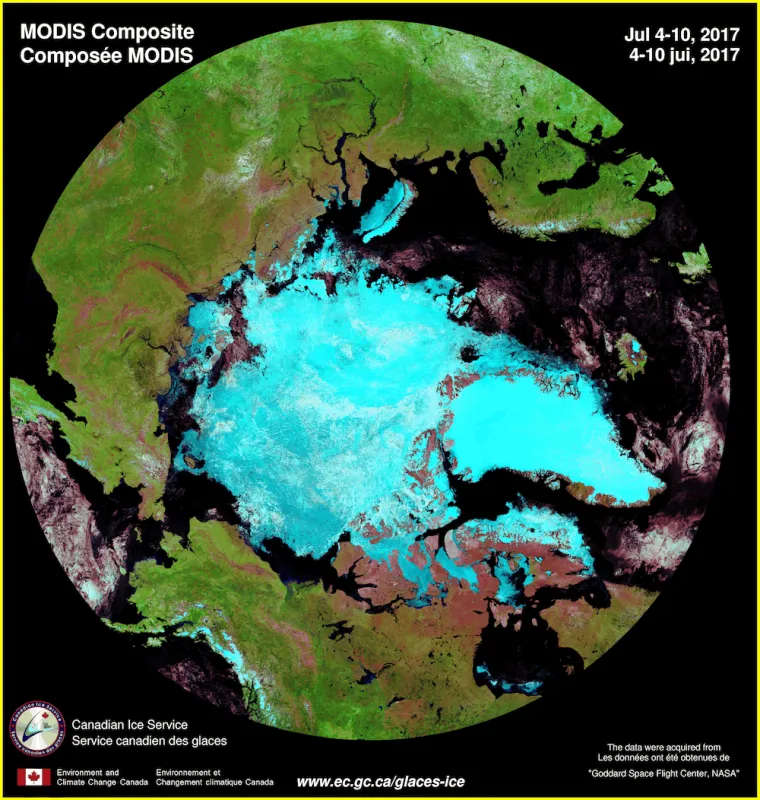 False-color composite image of the Arctic based on NASA Modis imagery.