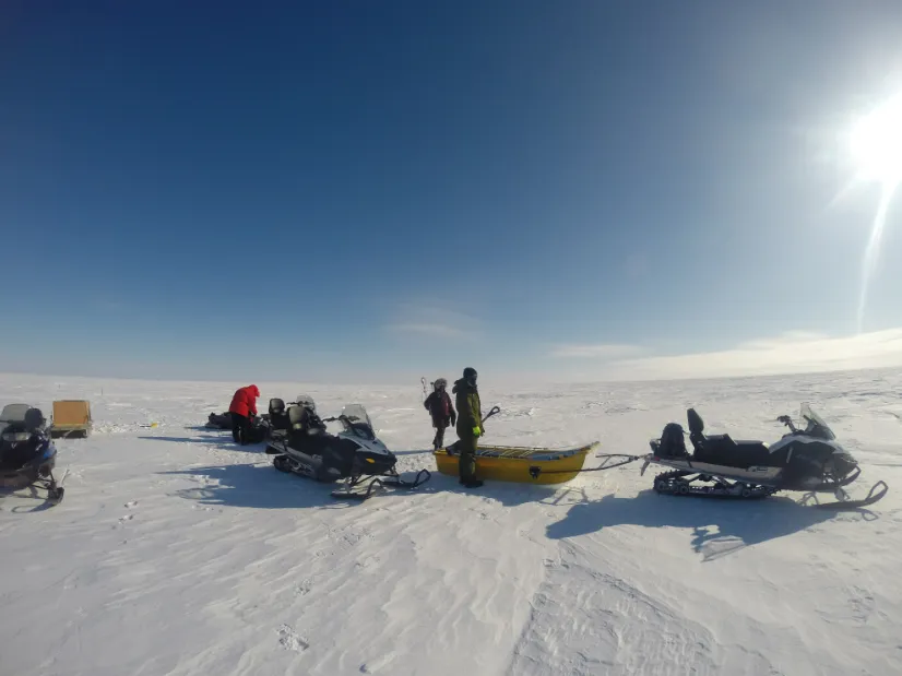 Image of team of scientists preparing to measure snow thickness over sea ice.