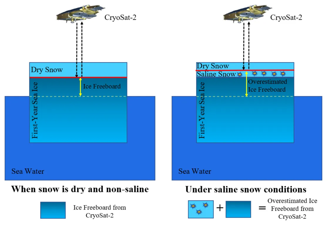 . This schematic illustrates how salinity shifts the source of the radar signature in the icepack. Ice thickness can be over-estimated by radar satellites (CryoSat-2) when snow conditions are more saline.